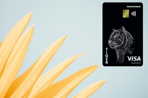 IndusInd Tiger Credit Card