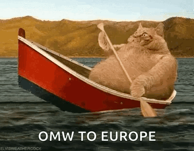 BoatCatGIF